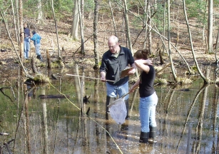 Sampling along transect